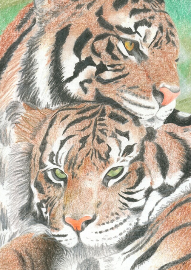 Duo Tigres by RAMSIN