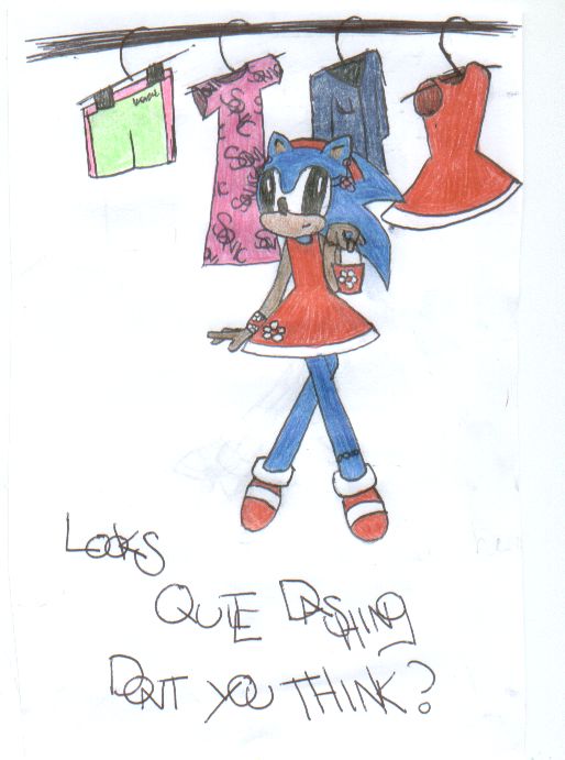 sonic in amys dress by RachelTheFox