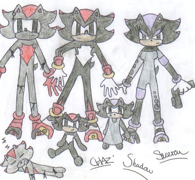 Chaz' Shadow and Shcera by RachelTheFox