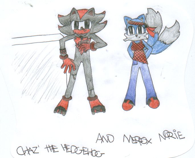 Chaz' the hedgehog and Merfox Nori by RachelTheFox