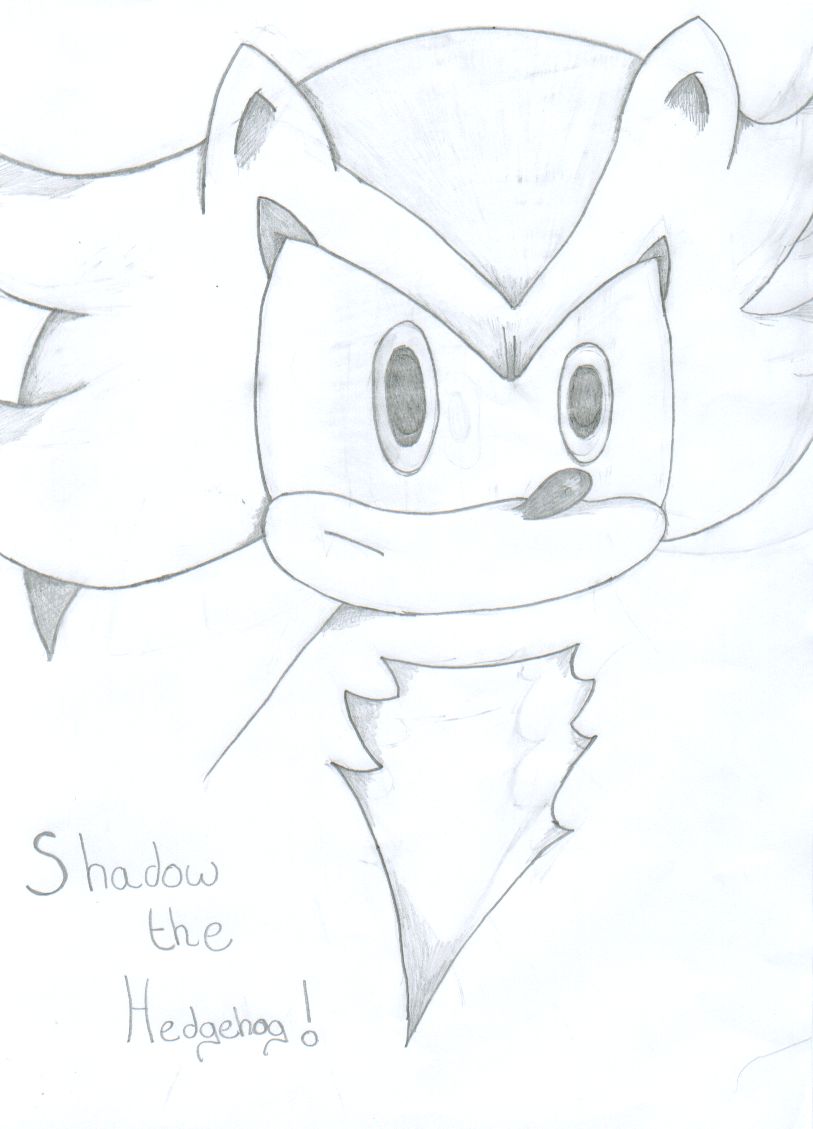 Shadow the hedgehog! by RachelTheFox