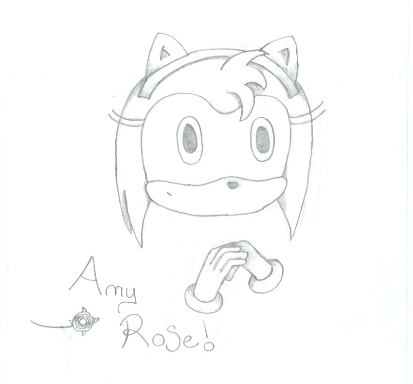Amy Rose! by RachelTheFox