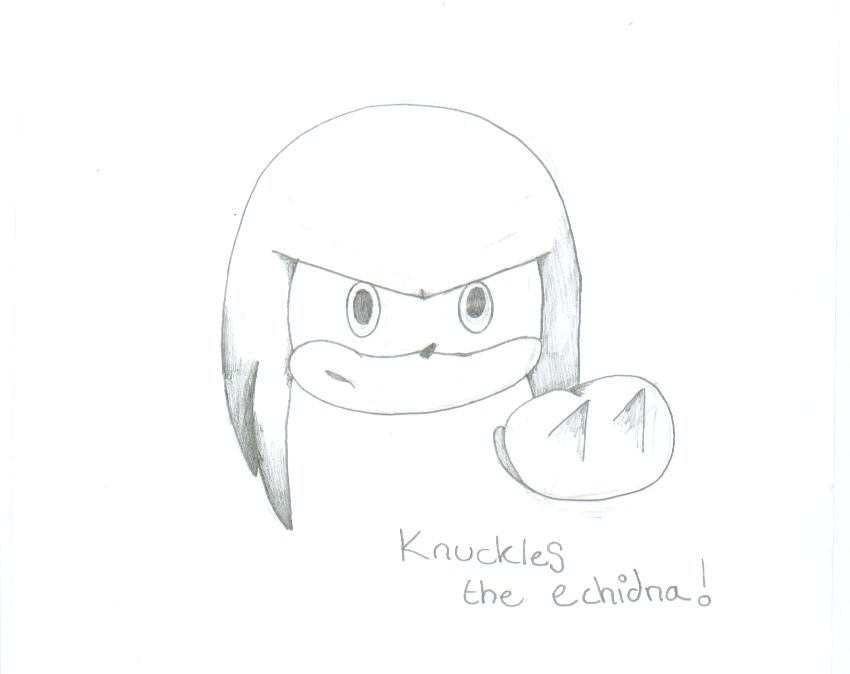 Knuckles The Echidna! by RachelTheFox