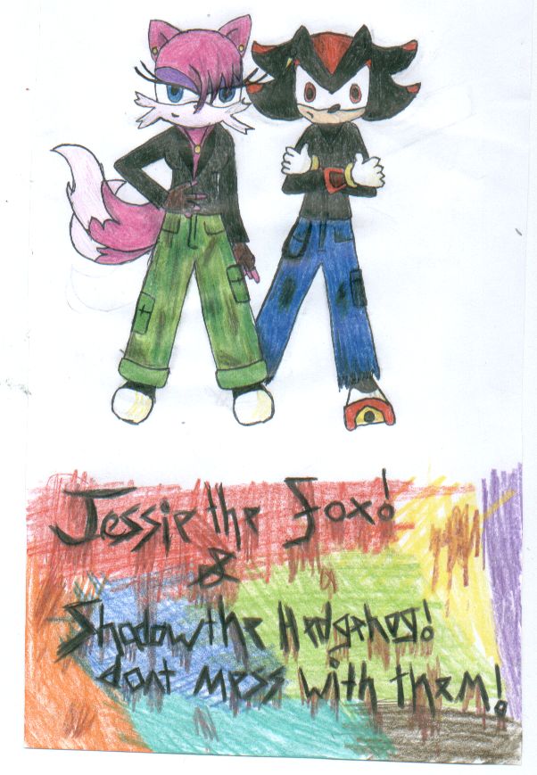 Jessie the fox and Shadow the hedgehog (Request from jessiethefox12) by RachelTheFox