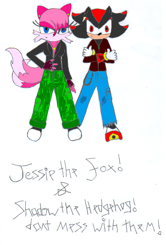 Jessie the fox and shadow (coloured on paint. Request from jessiethefox12) by RachelTheFox