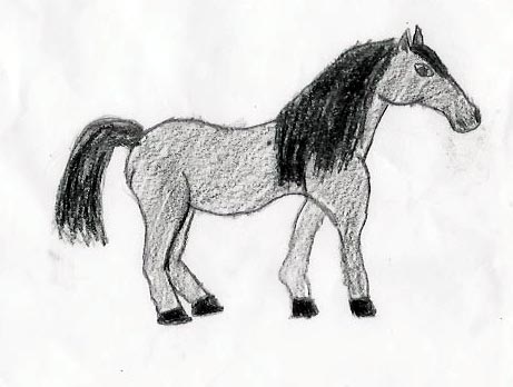 !!!Black horse!!!! by RaeandBB