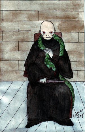 Lord Voldemort by Raiderhater1013