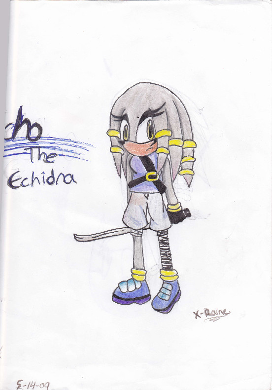 Echo The Echidna by RaineandSonic