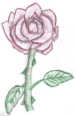 A Rose by Ramenzula