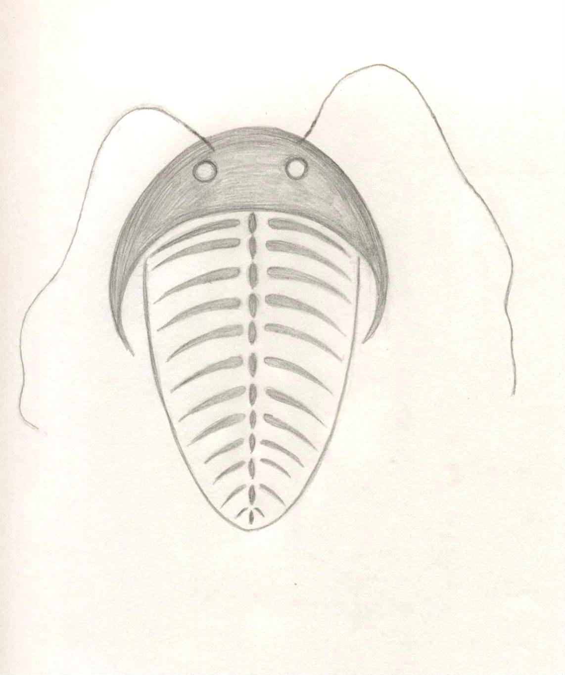 Trilobite by Ran_The_Hyena