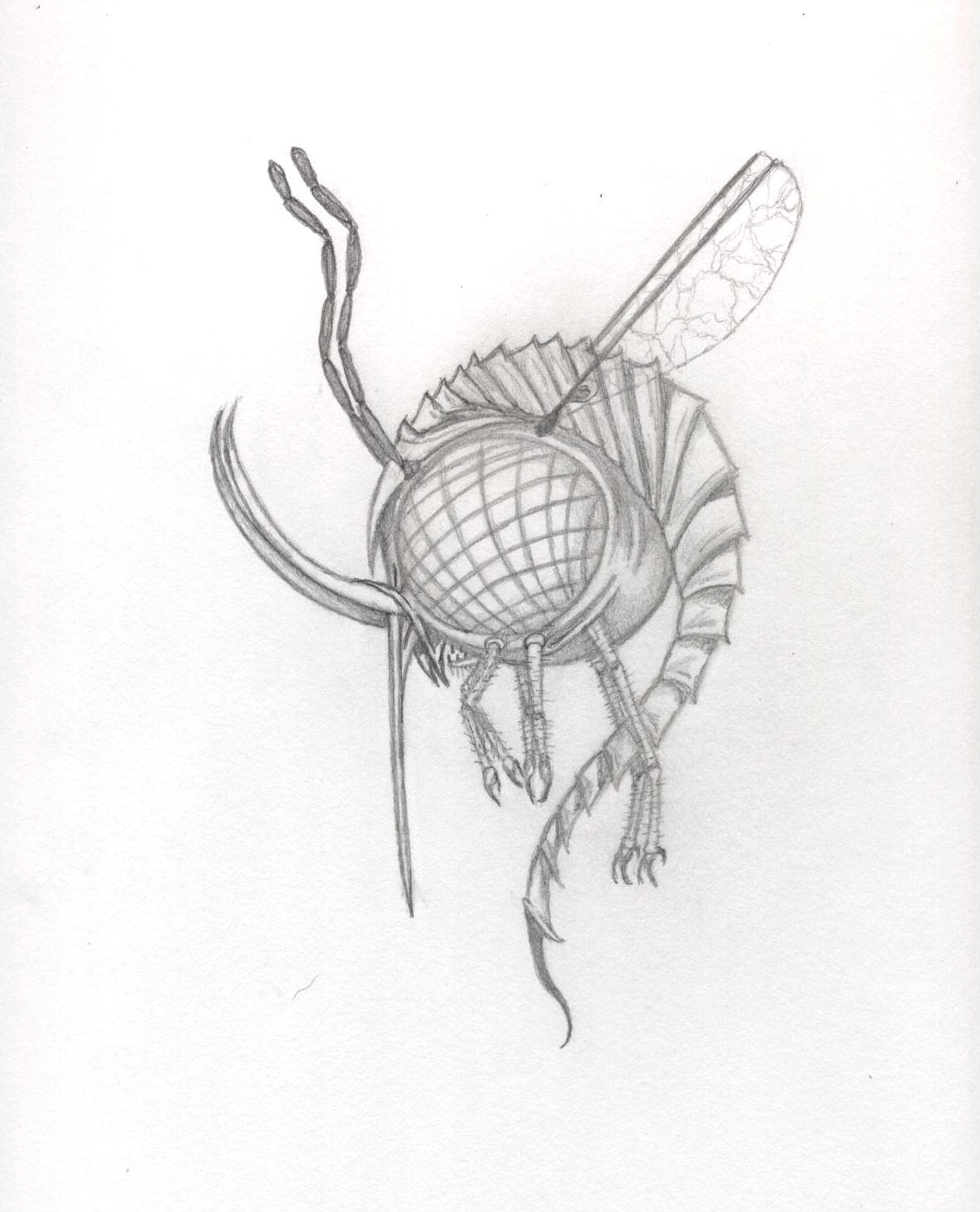 Strange Creature 3 ( Mosquito) by Ran_The_Hyena