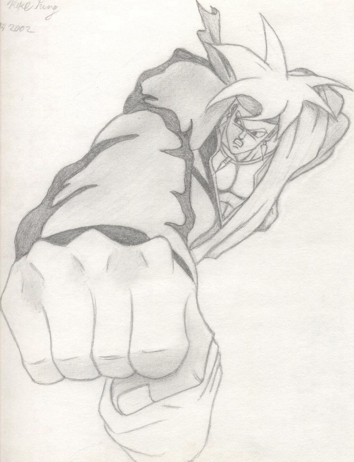 Gokua's punch by Ran_The_Hyena