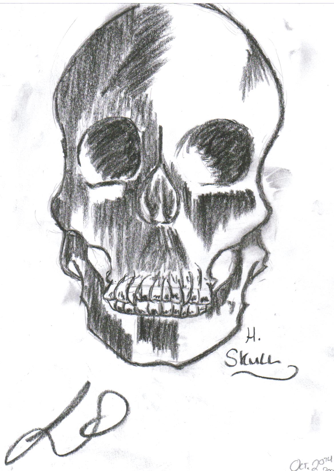 Human Skull by RandomArtist
