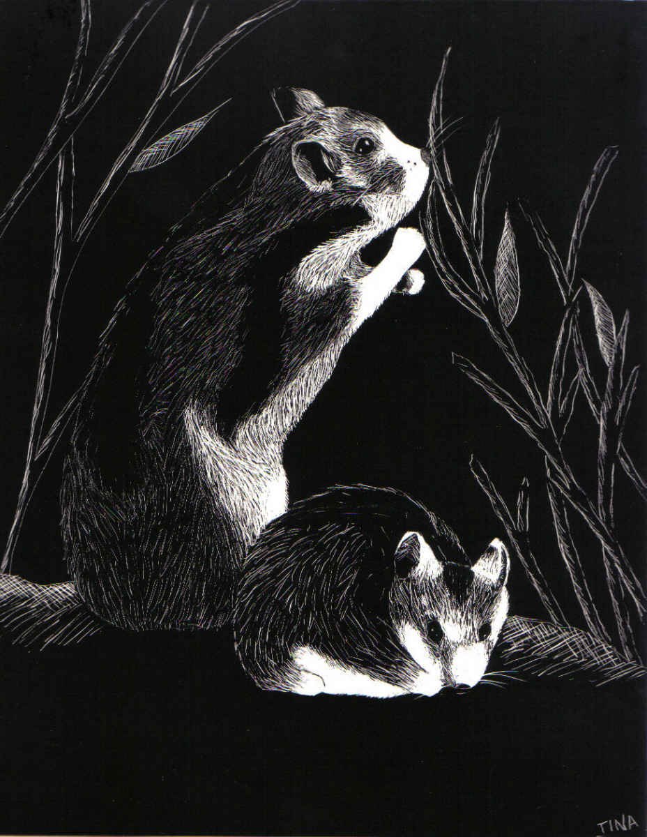 Hamsters in the Dark by Randycat
