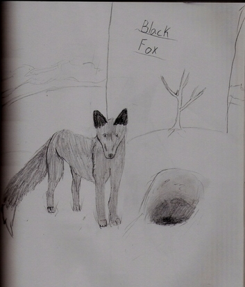 Black Fox by Rath_fangirl
