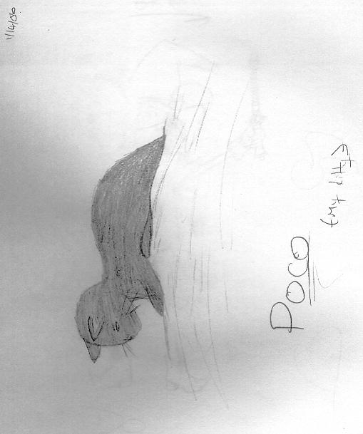 ~My Cat Poco~ by RavenGothGirl