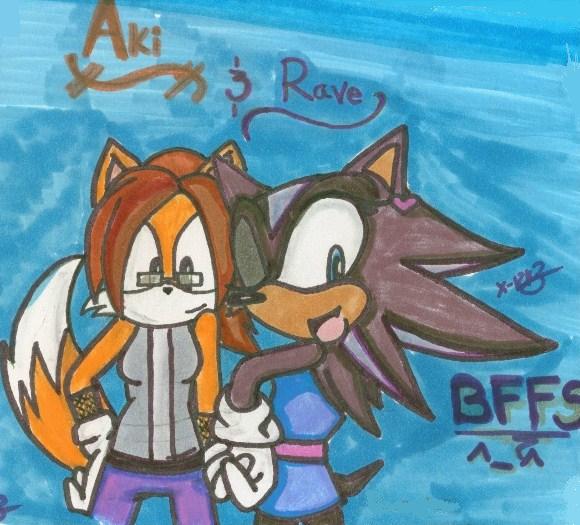 Rave and Aki by RavetheHedgehog