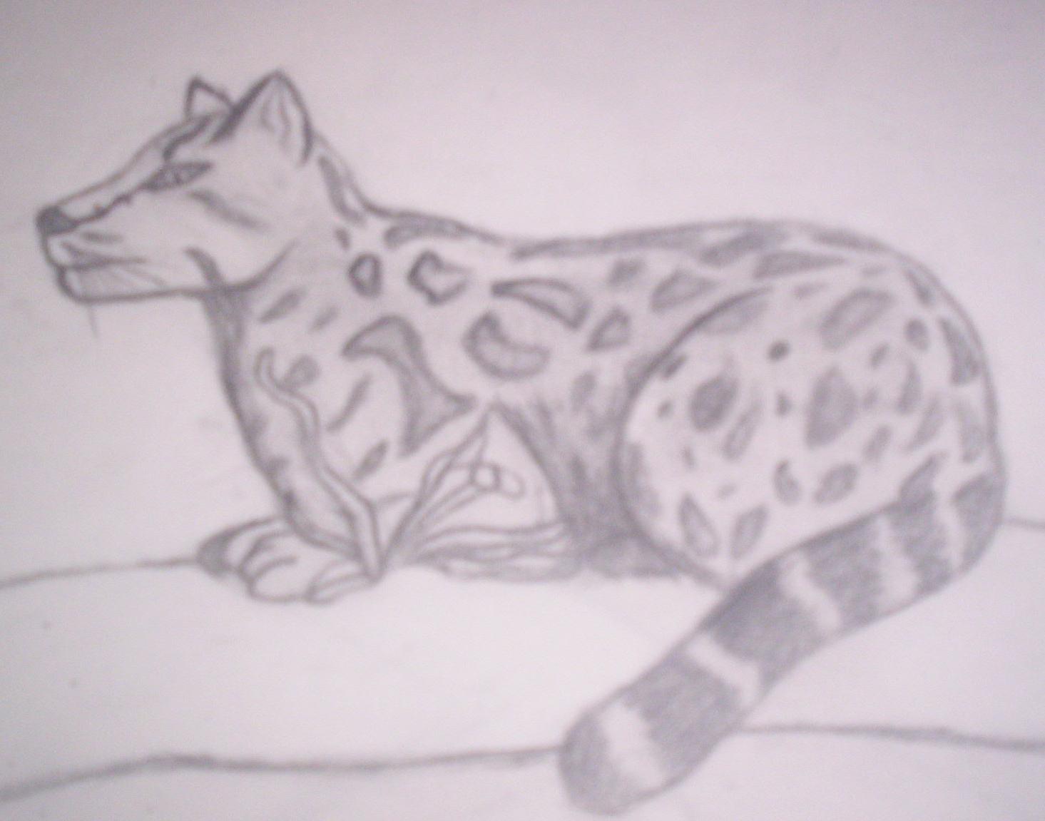 Leopard by RawkinThePlaid
