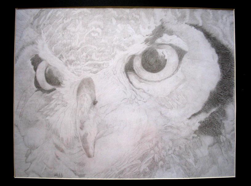 Owl by RedPaint