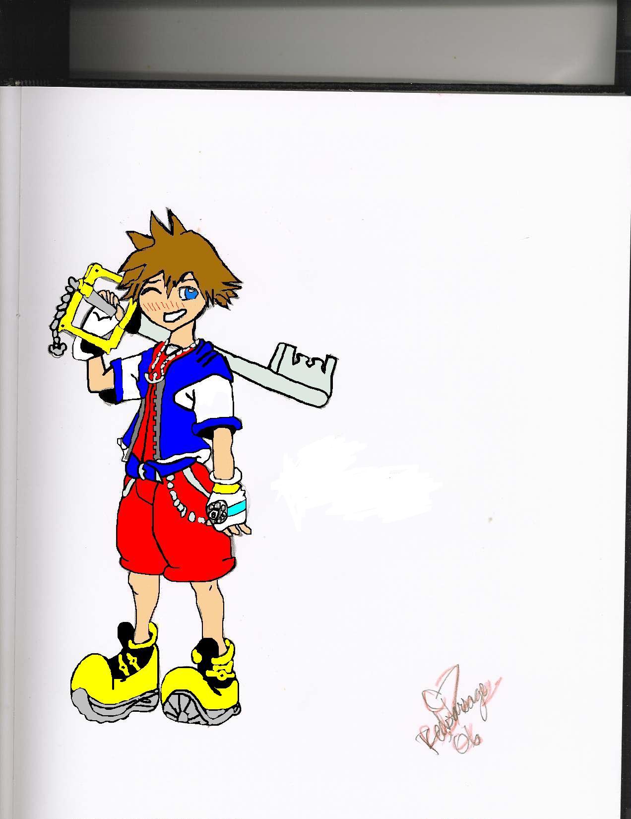 Sora that i used paint on by Redstarsage