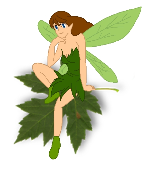 OMFG ITS FAIRY! GET IT! by Reina_Mysteria