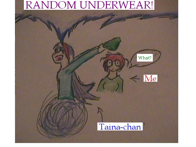 Random Underwear! (For Taina-chan) by Rikki_T_Fox