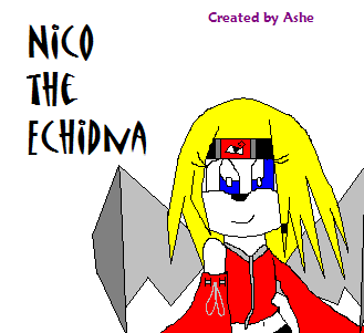 Nico the Echidna (*my sonic OC*) by Rikku_Mogonei