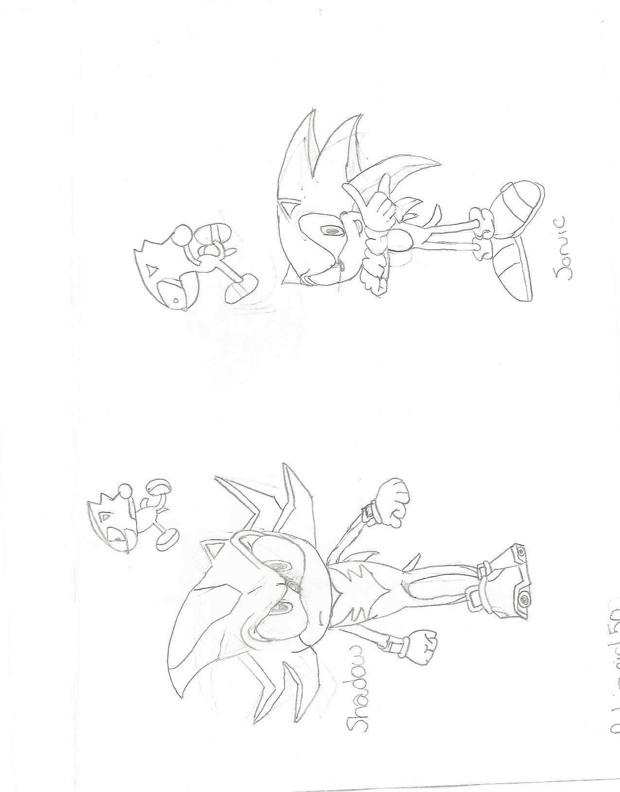 Sonic and Shadow! =D by RobinGal50
