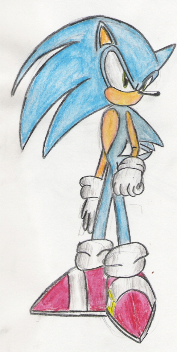 Sonic the mother f@#kin' badass by Royd