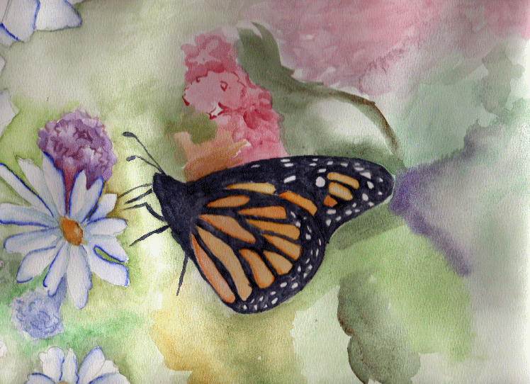 Butterfly by Rumi