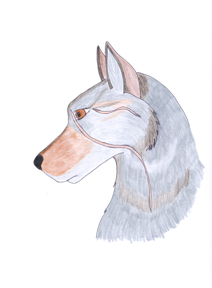 Greywolf by Ryley