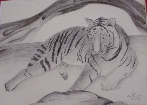 Lazy Tiger by Ryo_Undercover