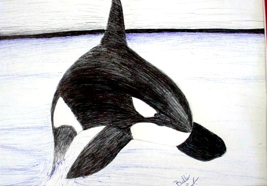 Orca by Ryo_Undercover