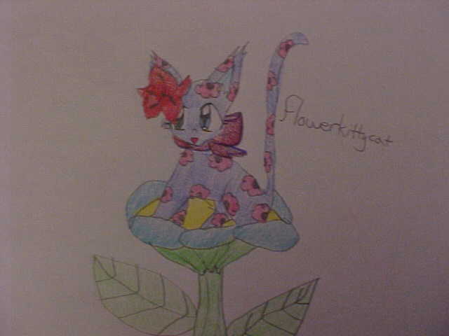 Flowerkittycat by rainbow101