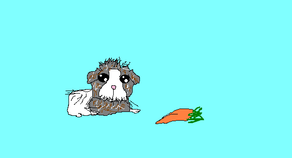 MY ginapig spys a carrot! by ramenlover147