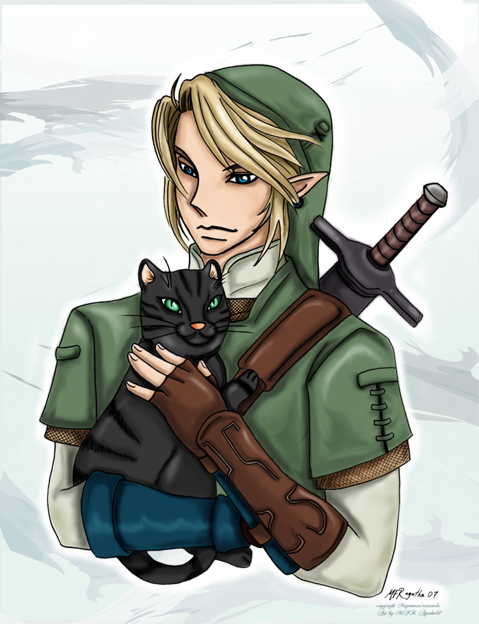 Link e cat by raziel07