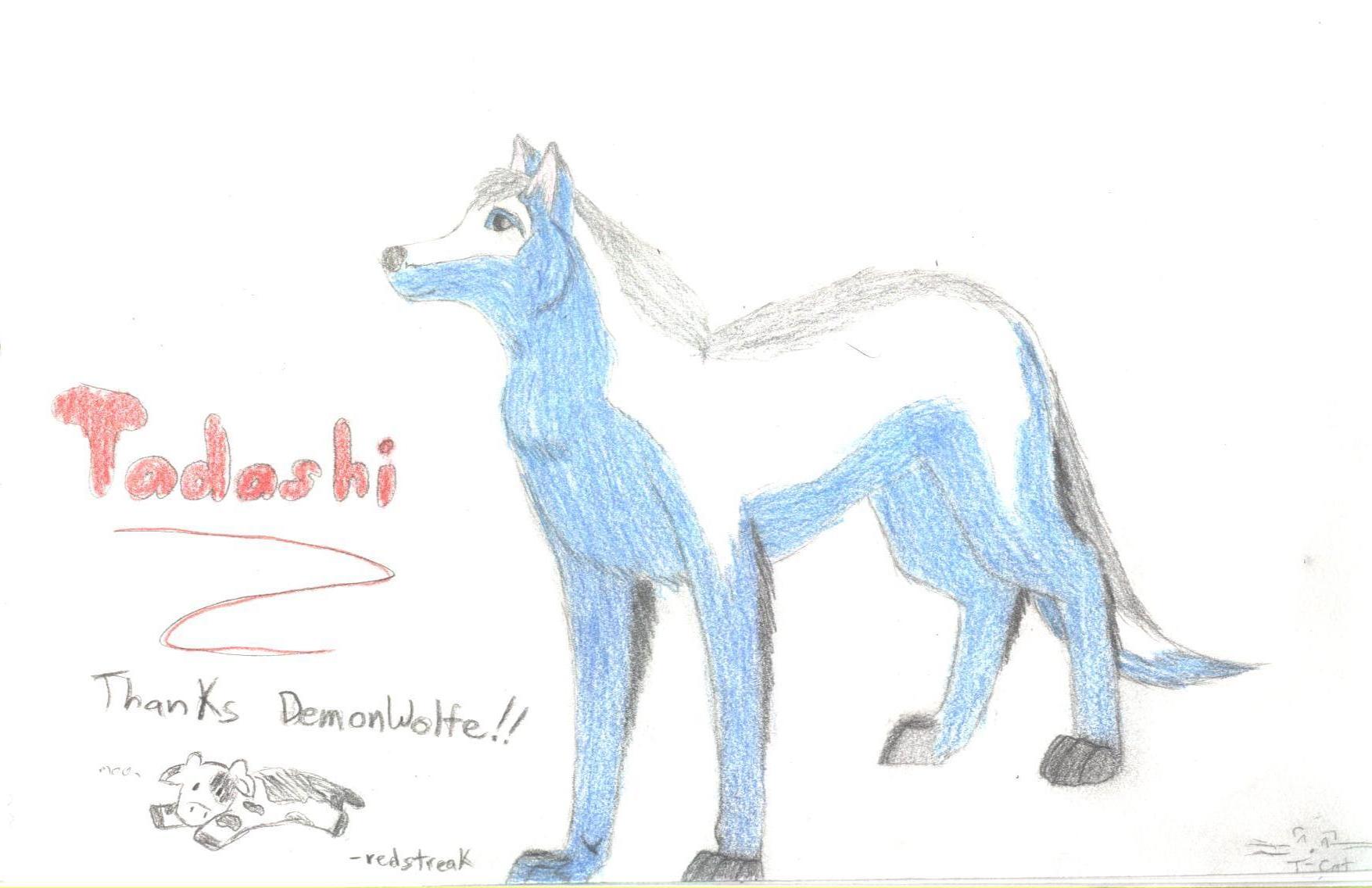 DemonWolfe's wolf character: Tadashi by redstreak
