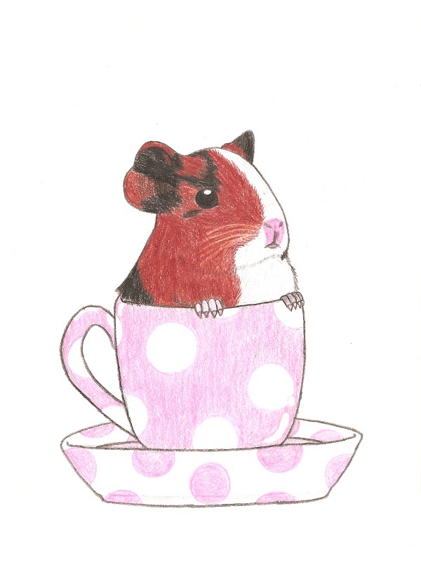 guinea pig in a teacup by robochub