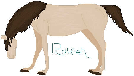 Cartoon Horse by rolfeh