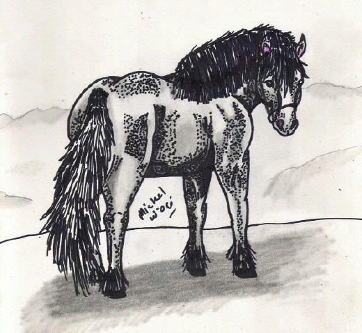 Pony in the Desert by rolla_roach