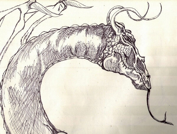 Dragon Head Sketch by rolla_roach