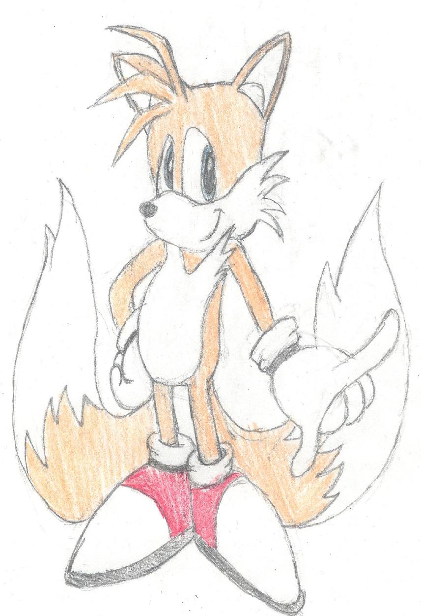 Tails by ronnie343