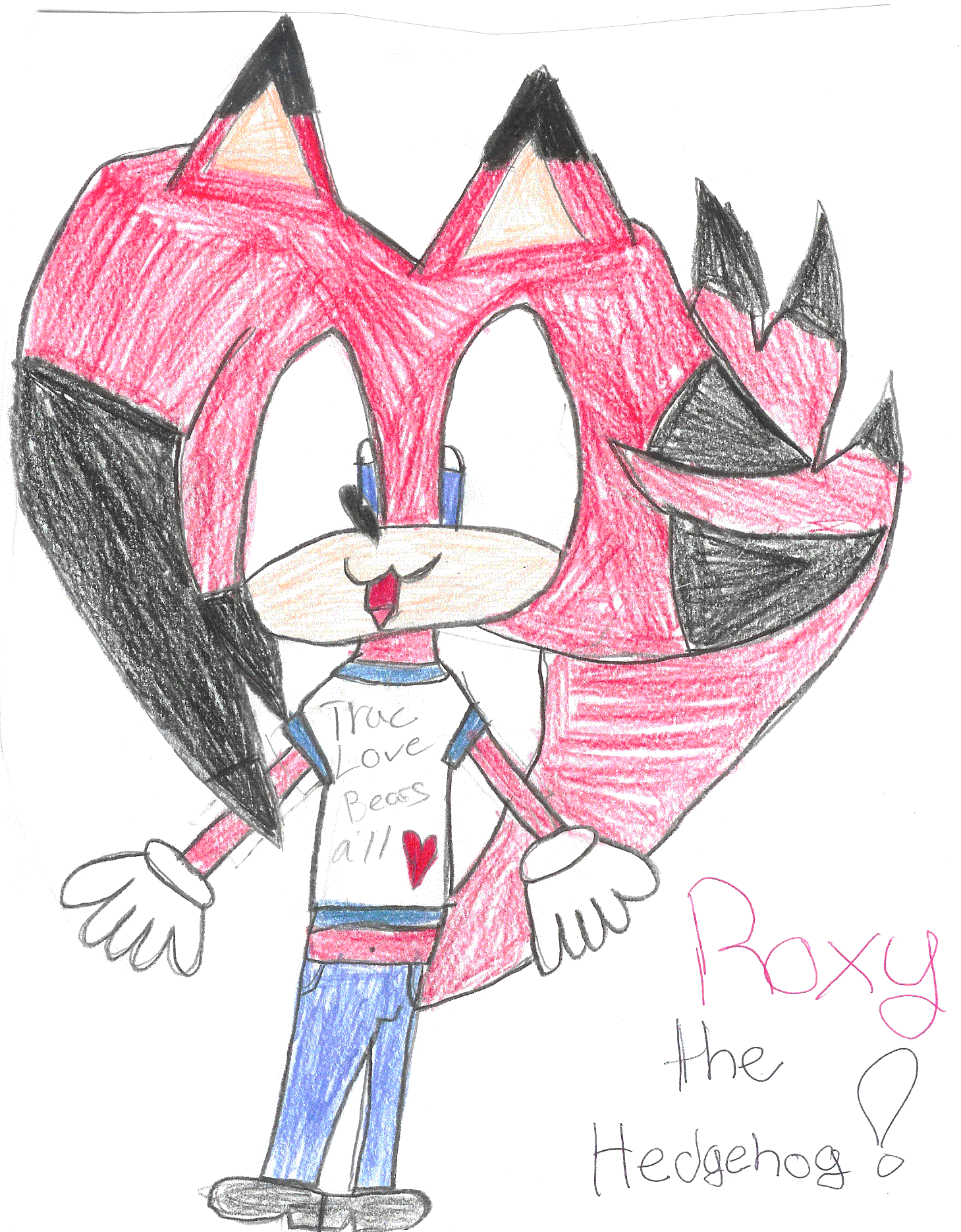 Roxy The Hedgehoge by runegal169