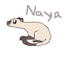 Naya, Siamese Cat by rutrowrachie
