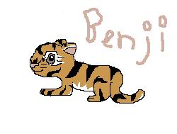 Benji, Tiger by rutrowrachie