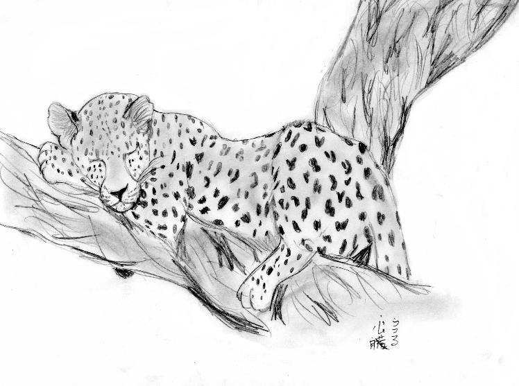 J-Pop's Leopard by ryuuryuu