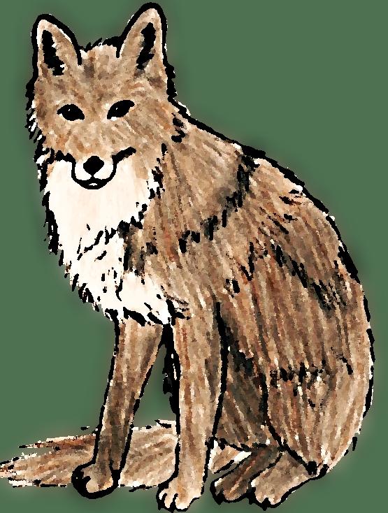 The Fox by ryuuryuu