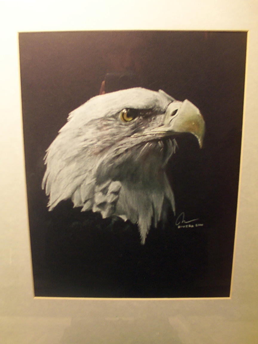 Eagle by SBronxinPitt