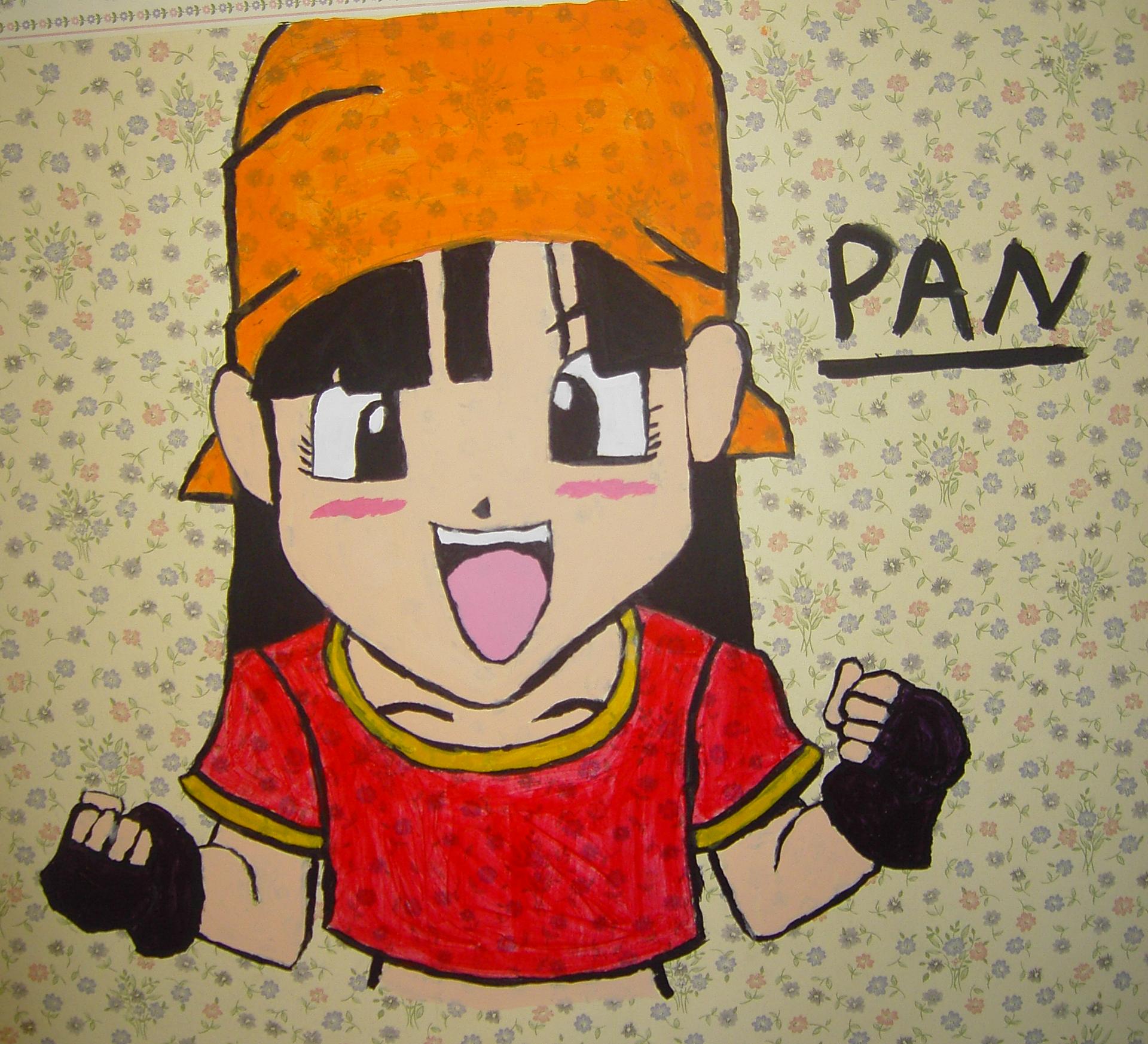 My Pan Painting by SSGoshin4