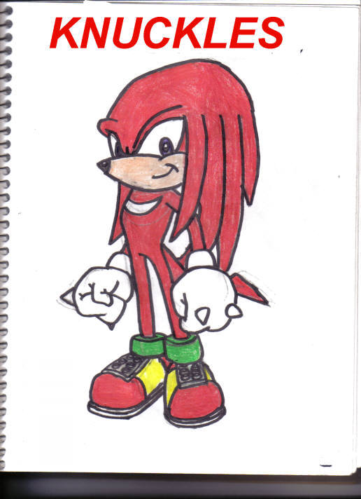 Knuckles the Echidna by SSonicSShadow